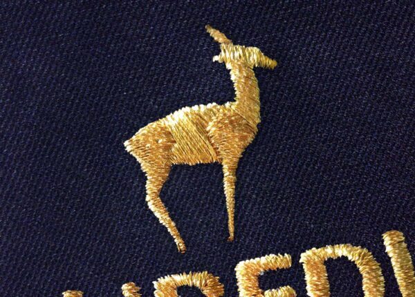 Ricamo Diretto e jpg